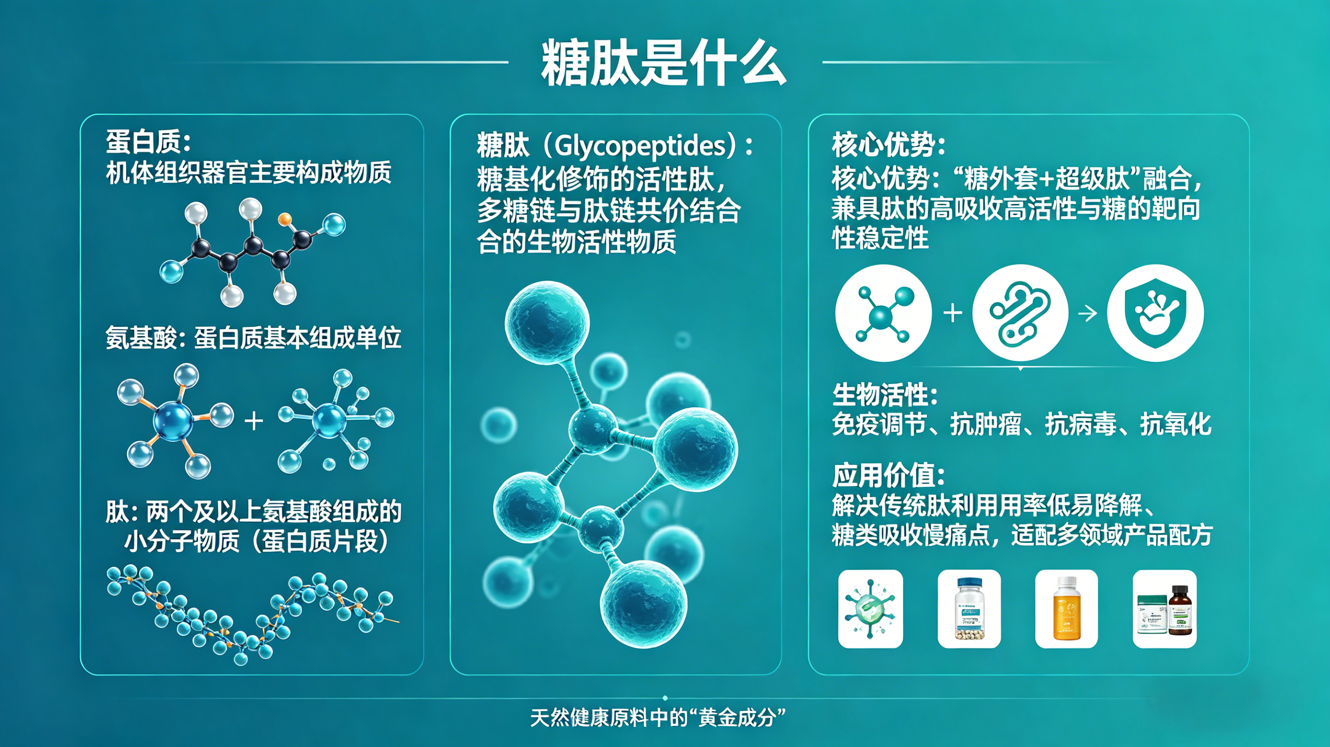 糖肽是什么